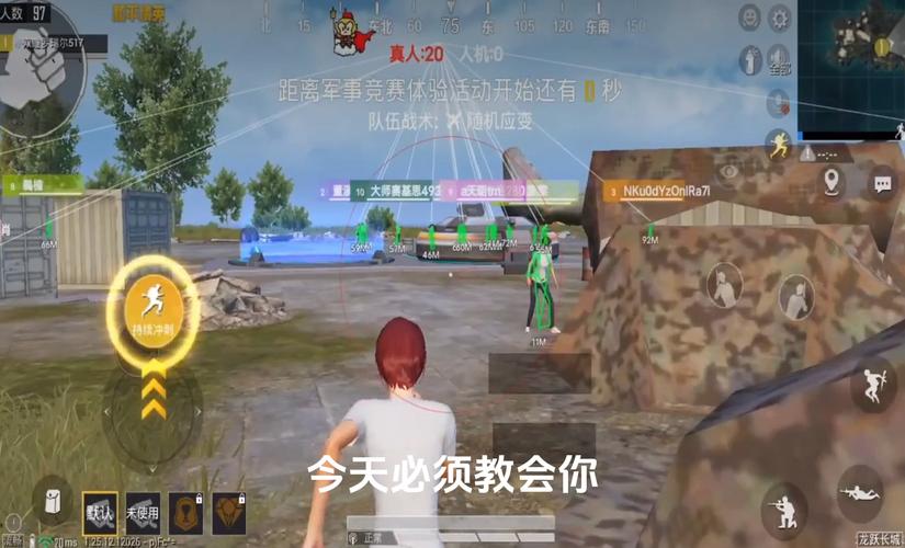 和平精英辅助【内部G简洁版】