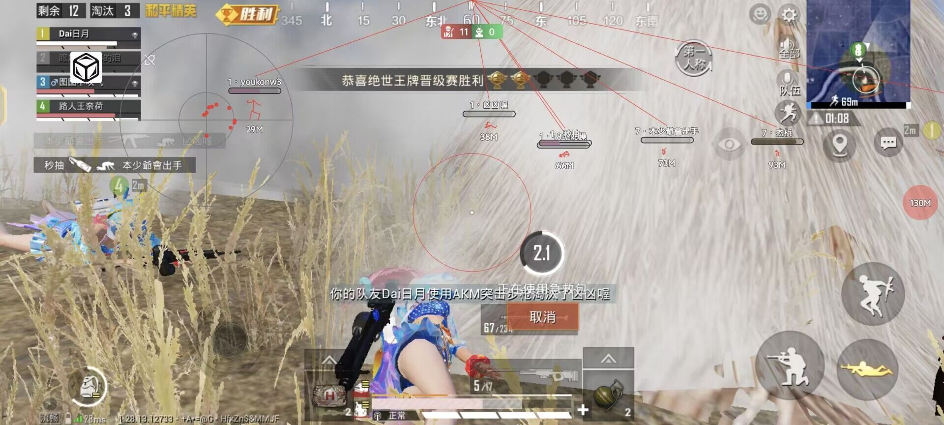 和平精英「雪花」直装辅助