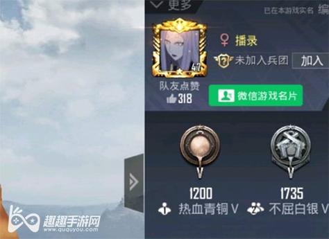 和平精英【XO内核】辅助